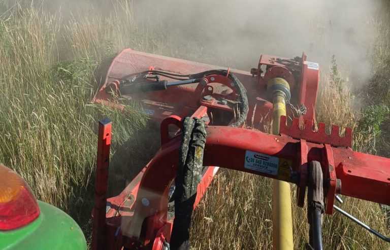 Mulchen Ein Mulcher an einem Trecker mäht eine Grünfläche